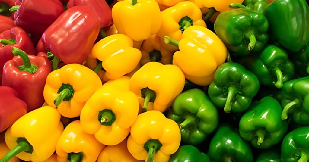 Different Types of Bell Pepper Nutrition for Turtles