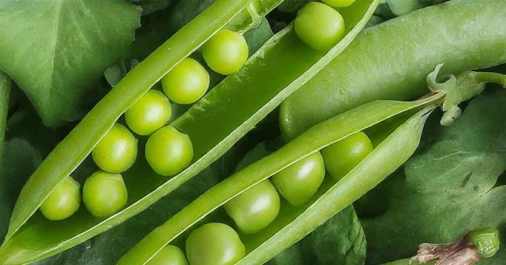 Nutrition Chart Of Peas
