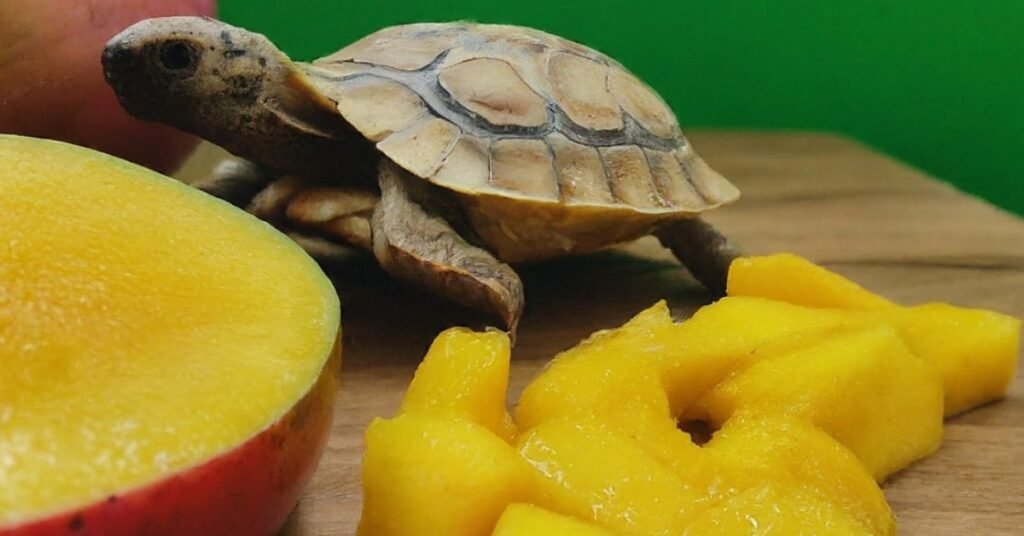 Nutritional Ingredients Table of Mango