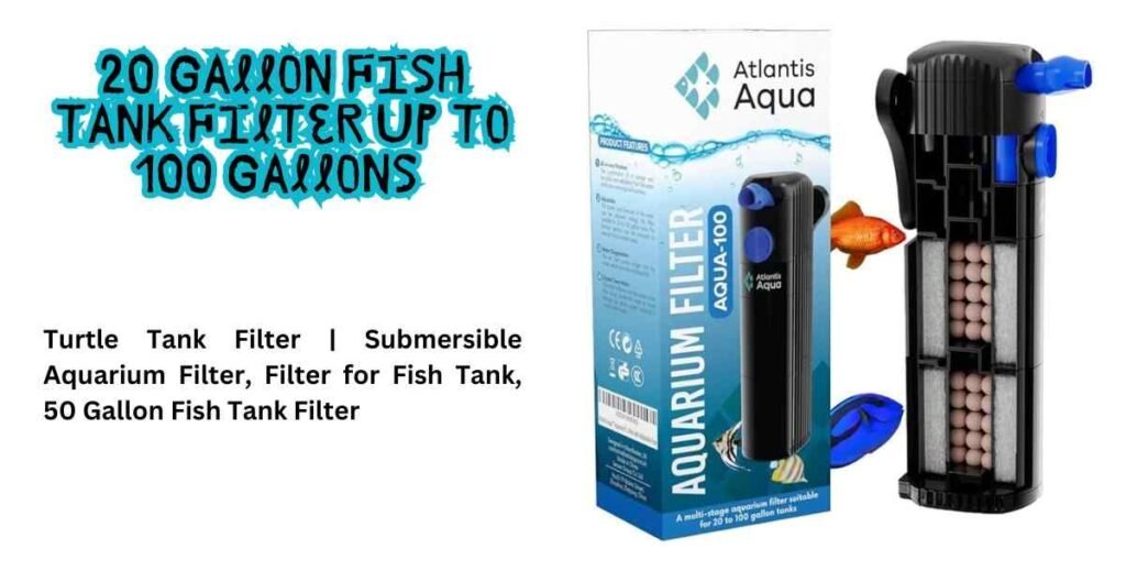 Fish tank filter for turtles