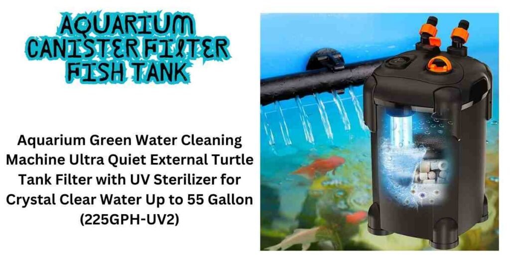 Fish tank for turtles