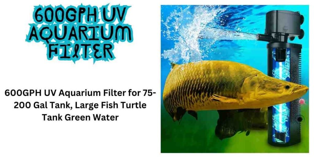 Fish tank filter for turtles